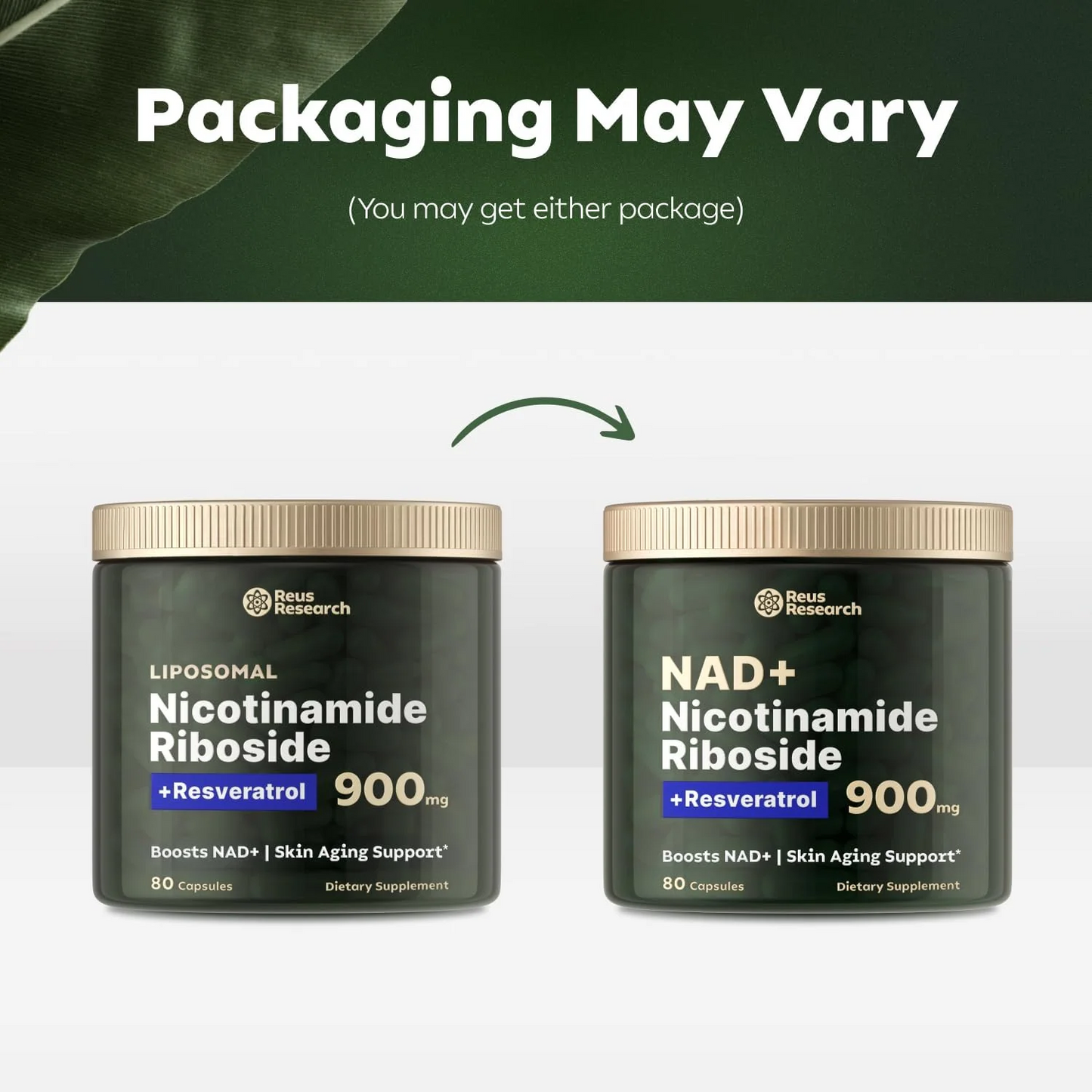 Reus Research NAD+Nicotinamide Riboside 900mg(80count)